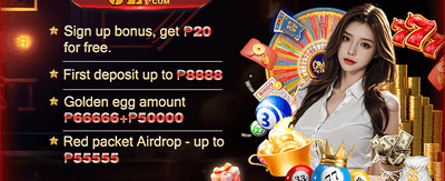 100% First Deposit Match promotion
